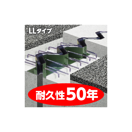 イプロス画像_耐久性50年と100年_260326_アートボード LL.jpg