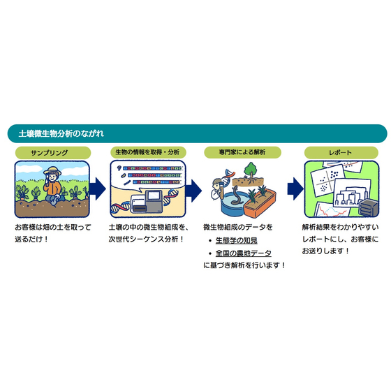 土壌微生物叢分析の流れ.jpg