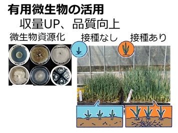 微生物資源活用サービス