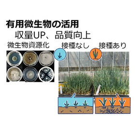 微生物資源活用サービス