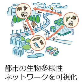 Initiatives in the forest and envir...