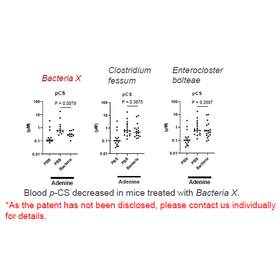 Tohoku Univ. Technology：Intestinal bacteria that reduce uremic substances：T22-046