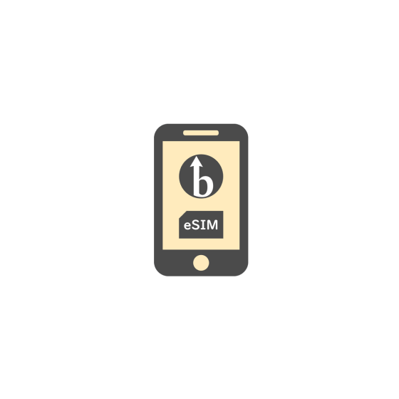 hk-sim_icon.png