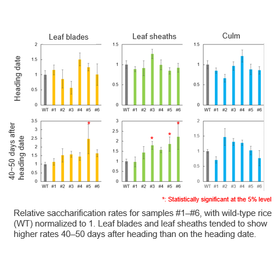Tohoku University Technology: Improving Plant Saccharification​: T24-049