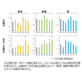 Tohoku University Technology: Improving Plant Saccharification​: T24-049
