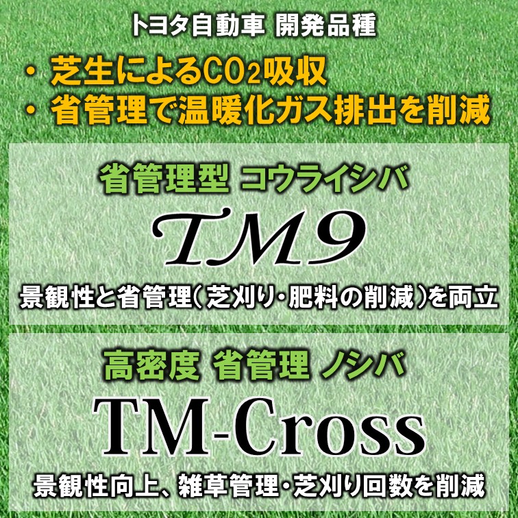 芝生によるCO2吸収の紹介【トヨタ自動車 開発品種】