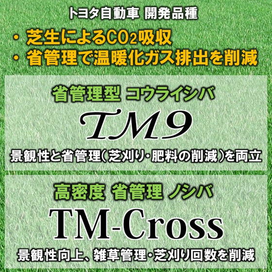 シンボル画像　２品種 CN貢献.jpg