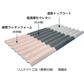 Roof insulation and waterproofing r...