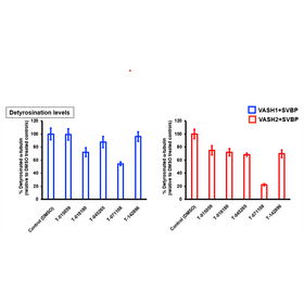 Tohoku Univ. Technology：Small molec...