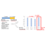 Tohoku Univ. Technology： PPAR&alpha; agonists that improve cognitive function：T22-091