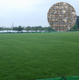 グラストロング-ip-1.jpg