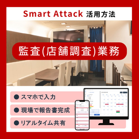 イプロス業種別_監査(店舗調査)業務.jpg