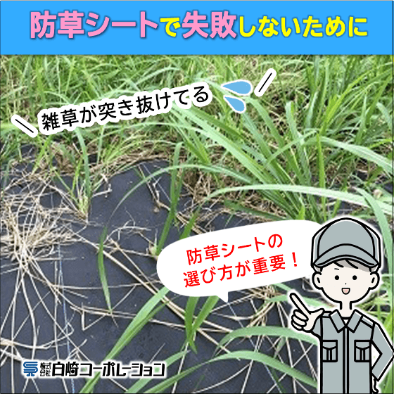 防草シート選定のポイントとは？長期的な維持管理コスト削減に向けて