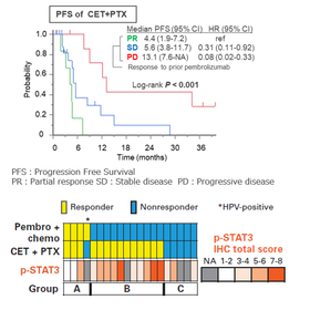 Tohoku Univ. Technology :A Diagnostic Test Enabling Precision Oncology in Head and Neck Cancer:T25-030