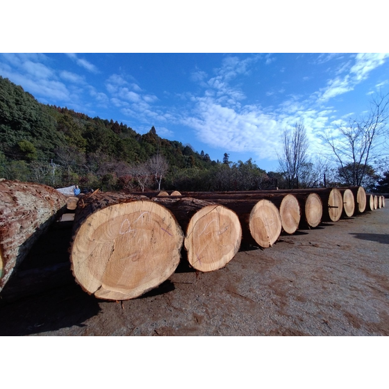 スクリーンショット 2025-11-07 11.53.22.png