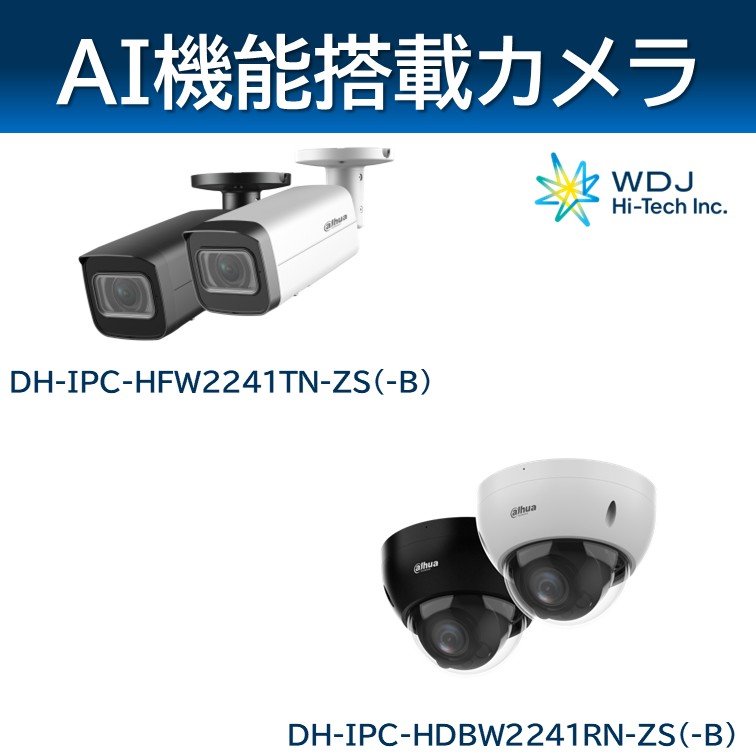 Dahua製 防犯カメラ/HITACHI製 ネットワークカメラ フルセット Dahua社製ネットワークカメラ 【スタンダード】 WDJハイテク | イプロス
