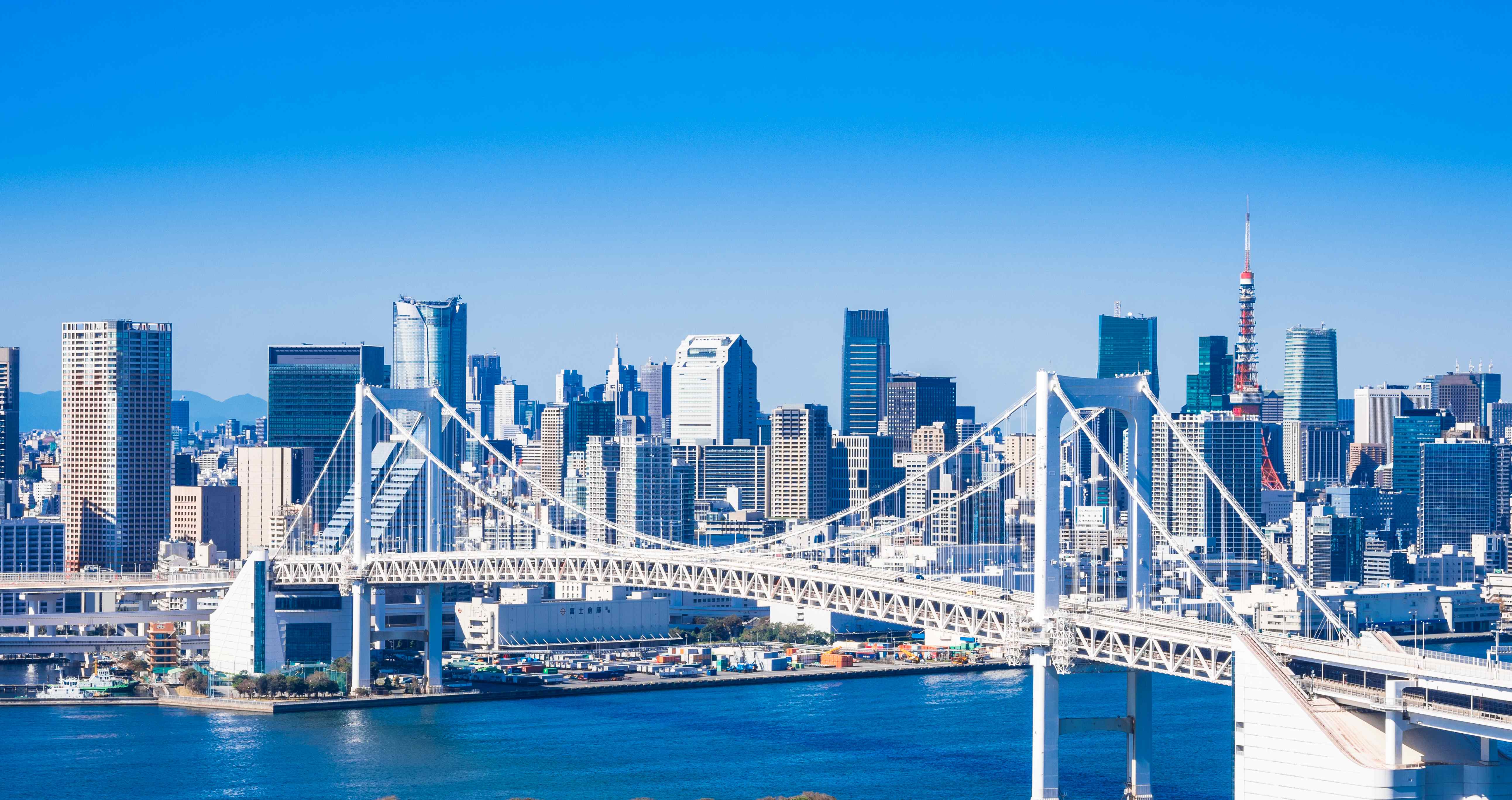 【インフラ向け】無線式 加速度計測システム