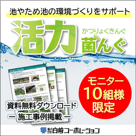 【10組限定】池の藻・臭気対策に「微生物の力」を試しませんか？