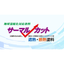 遮熱・断熱塗料　サーマルカット