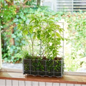 屋上緑化ユニット｜【置くだけ】でビルやテラスに小さな森を創出