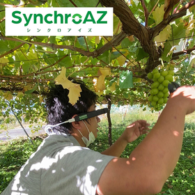 【果樹栽培】スマートグラスで&ldquo;見える化&rdquo;と遠隔指導