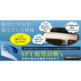 Japan's first in piping diagnostic ...