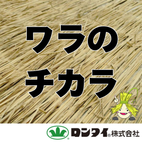 【天然素材で緑化】ワラのチカラが緑化のチカラに