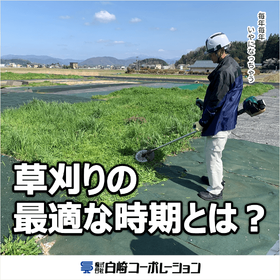 草刈りに最適な時期があるのはご存知ですか？｜雑草管理の豆知識