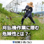 刈払機を用いた除草作業に潜む危険性とは？｜雑草管理の豆知識