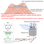 Tohoku Univ. and Tokyo Univ.Technology：Scanning control technology for designing desired laser intensity distributions：T24-044