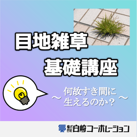 【防草シート基礎講座7】目地の雑草対策について