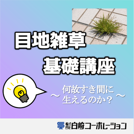 001.png