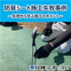 メイン.png