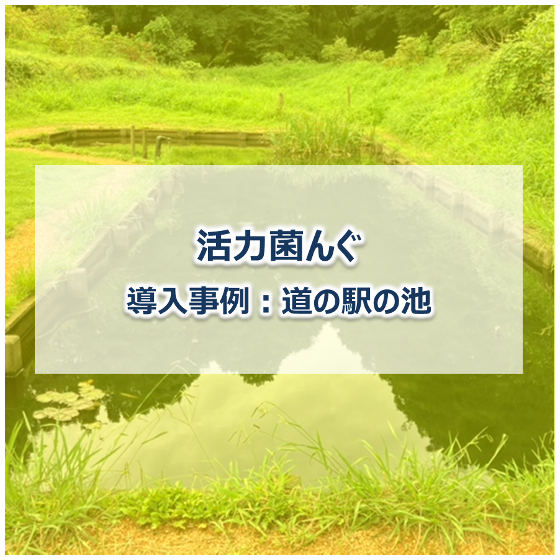 メイン.png