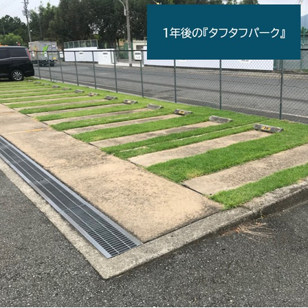 タフタフ-6-2.jpg