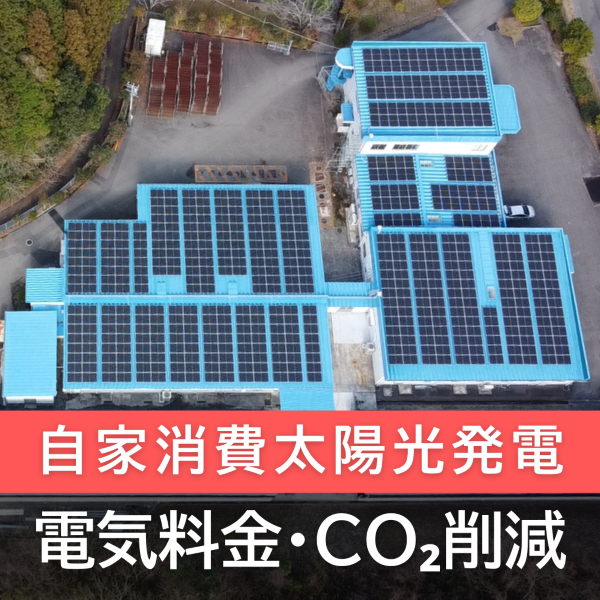 自家消費型太陽光発電×EMSで電気料金削減