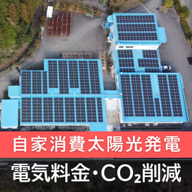 Cut Energy Costs: Self-Consumption Solar Power & EMS Systems