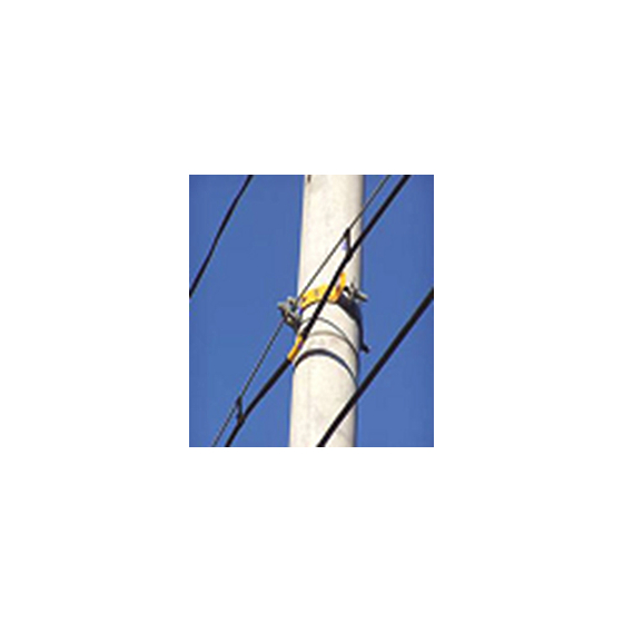 electric_img01.jpg
