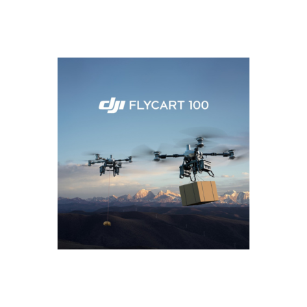 dji_FlyCart.png