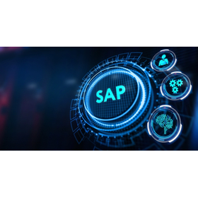 【システム開発実績】SAP開発|開発フェーズから保守・運用まで