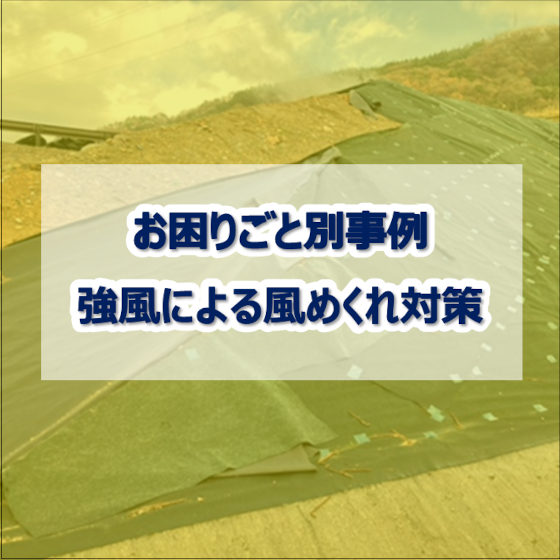 風めくれ.png