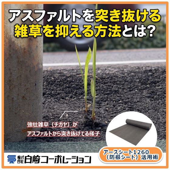 メイン.png