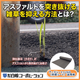 メイン.png