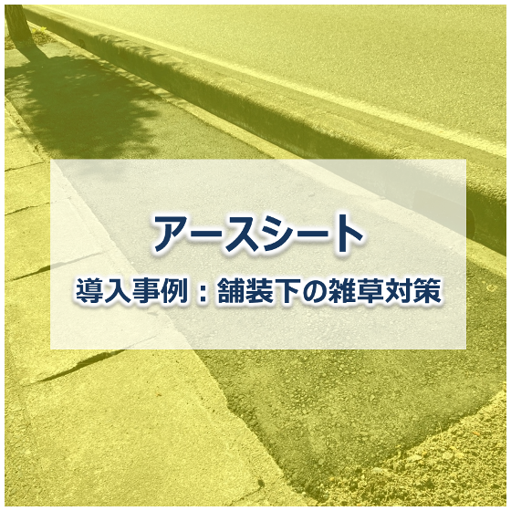 メイン.png