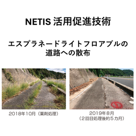 お客様の声！道路維持管理の変革 草刈り予算を「除草管理」へシフト