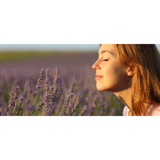 fragrance_a.jpg