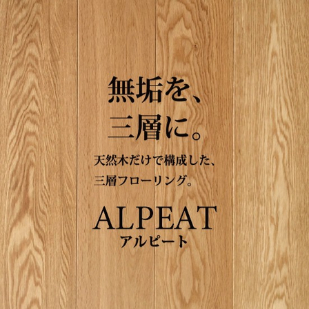 DMカード入稿データ【ALPEAT 10月掲載版】【AL済】イプロス掲載用編集画像.jpg