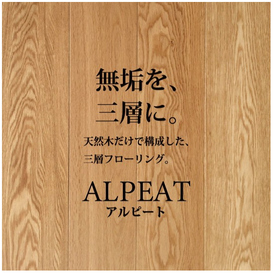 DMカード入稿データ【ALPEAT 10月掲載版】【AL済】イプロス掲載用編集画像.jpg