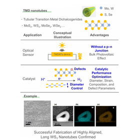 Hokkaido Univ. Technology：Transitio...