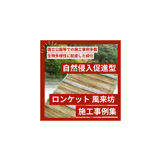 風来坊事例集用サムネ.png